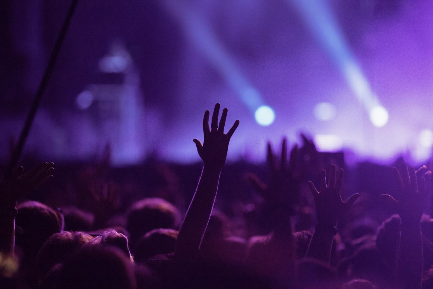 Crowd at a live concert